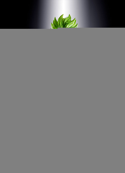S.H.Figuarts Dragon Ball Super: Broly Super Saiyan Broly Full Power — Dragon Ball figures wholesale
