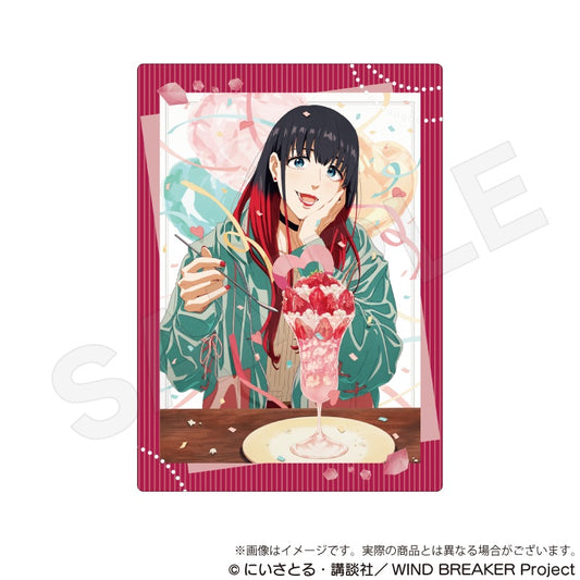 Wind Breaker Clear Case Birthday Illustration Ver. Tsubakino Tasuku — anime store wholesale supplier