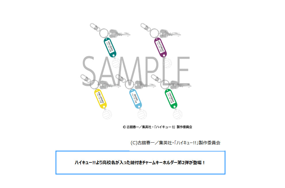Haikyu!! Trading Key Charm Key Chain with High School Name Vol. 2 — anime keychains wholesale
