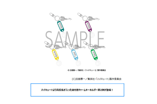 Haikyu!! Trading Key Charm Key Chain with High School Name Vol. 2 — anime keychains wholesale