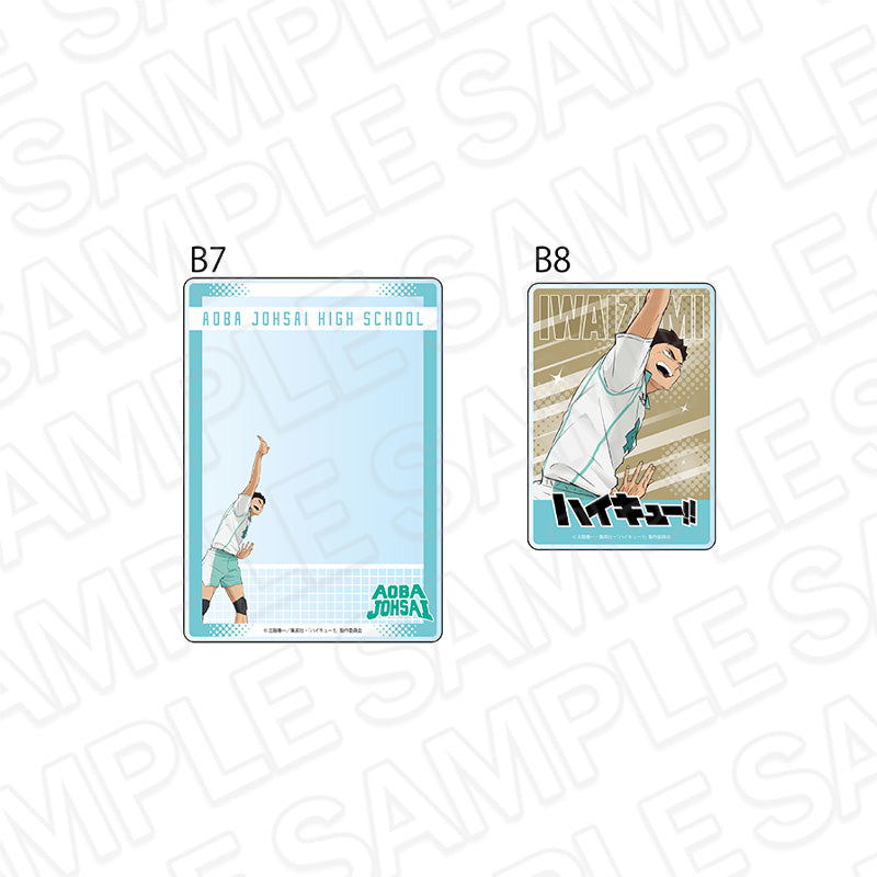 Haikyu!! Hard Card Case Set Iwaizumi Hajime - anime figures wholesale