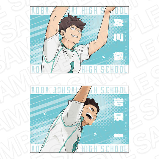 Haikyu!! Postcard 2 Set Aoba Johsai High School - anime figures wholesale