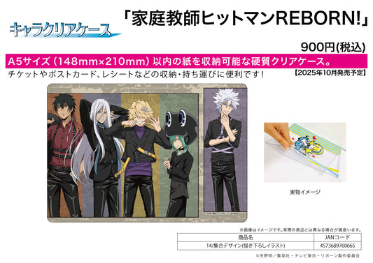 Chara Clear Case Reborn! 14 Group Design (Original Illustration) — anime figures wholesale near me
