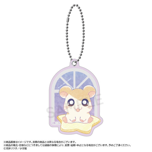 Tottoko Hamutaro -Twinkle Dreams- Slide Mirror A Hamutaro — import anime figures wholesale from Japan