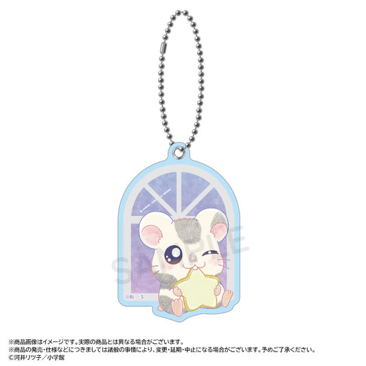 Tottoko Hamutaro -Twinkle Dreams- Slide Mirror C Oxnard — bulk anime toys for retailers USA