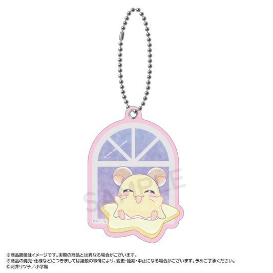 Tottoko Hamutaro -Twinkle Dreams- Slide Mirror E Penelope — where to buy anime figures wholesale USA