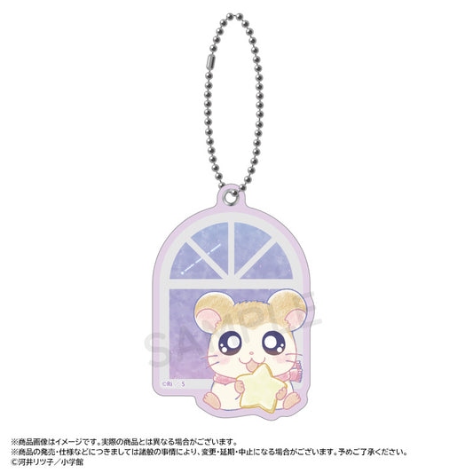 Tottoko Hamutaro -Twinkle Dreams- Slide Mirror F Pashmina — Japanese anime figures bulk supplier USA