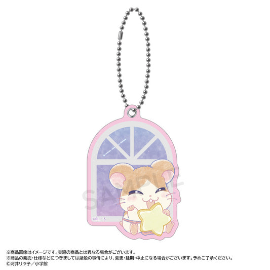 Tottoko Hamutaro -Twinkle Dreams- Slide Mirror G Howdy — anime figure wholesale price list