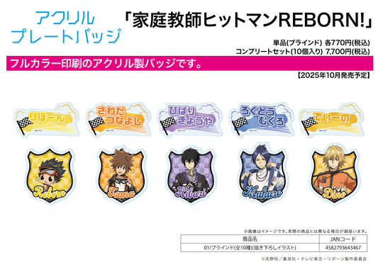 Acrylic Plate Badge Reborn! 01 Original Illustration — collectible anime toys wholesale