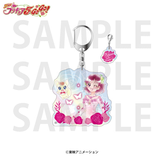 Yes! PreCure 5 GoGo! Aurora Acrylic Key Chain Yumehara Nozomi & Coco — anime keychains wholesale