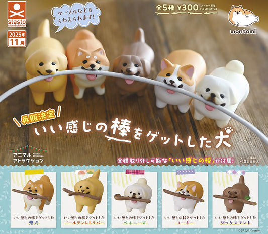 Dogs who got nice sticks — gachapon wholesale supplier