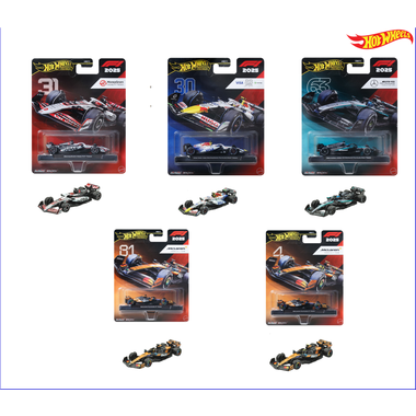 JKD78 ＨＷ プレミアム レース マネーグラム・ハース フォーミュラ 1 チーム (#31)