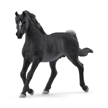 【メーカー取寄】13981 アラビア（オス）