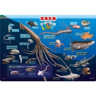 【メーカー取寄】MC-80-759 深海生物図鑑(学研の図鑑 ＬＩＶＥ)