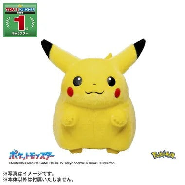 ポケモン30周年記念 おかえり！ピカチュウ1/1