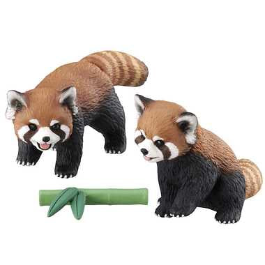 アニア ＡＳ－３５ レッサーパンダ