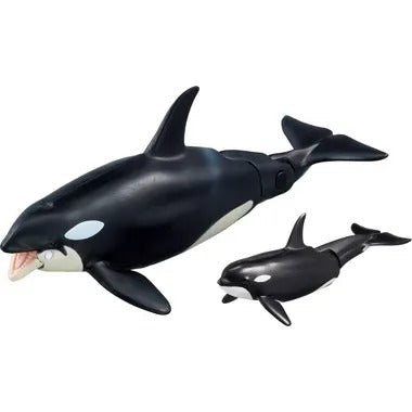 アニア ＡＬ－０８ シャチ親子（水に浮くVer.)