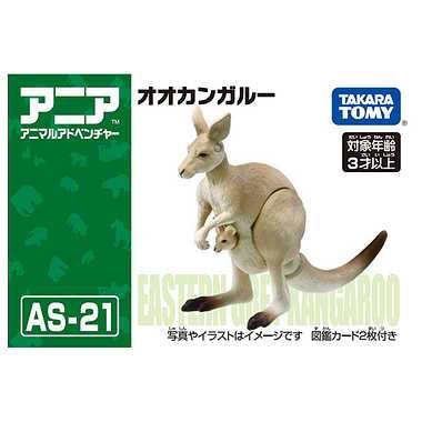 アニア ＡＳ－２１ オオカンガルー