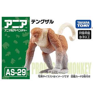 アニア ＡＳ－２９ テングザル