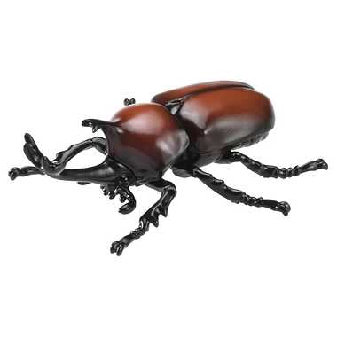 アニア ＡＳ－３７ カブトムシ