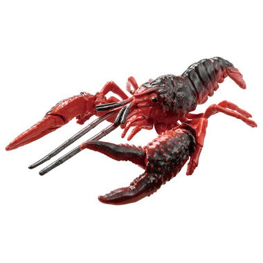 アニア ＡＬ－３１ アメリカザリガニ