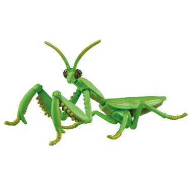アニア ＡＬ－３２ オオカマキリ
