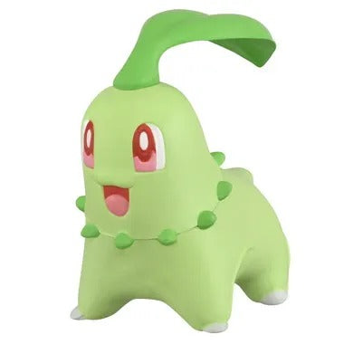 モンコレ チコリータ