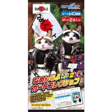 【メーカー取寄】なめんなよカードコレクション２ なめんなよ