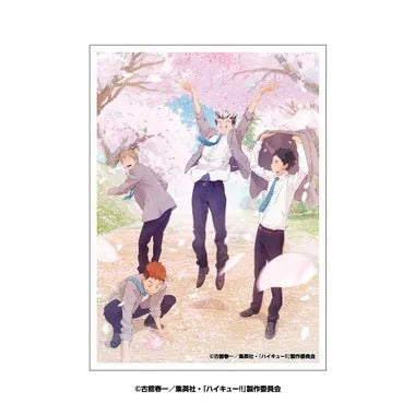|メーカー品切れ中|【メーカー取寄】EN-1633 桜吹雪 アニメ「ハイキュー !! 」