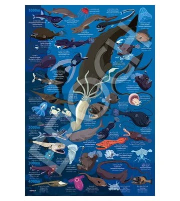 【メーカー取寄】26-808 深海生物図鑑 水深1000m～4000m