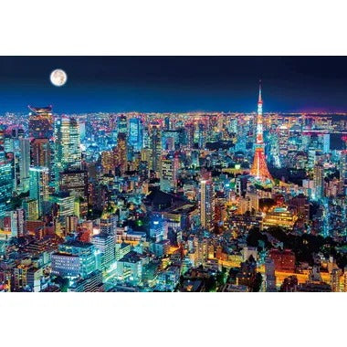 【メーカー取寄】300-015 東京夜景