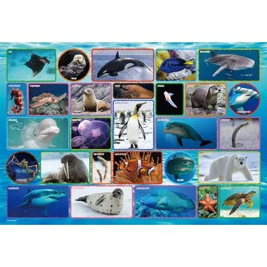 【メーカー取寄】100-042 水族館