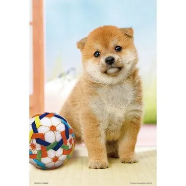 【メーカー取寄】300-191 まんまる柴犬