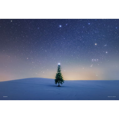 【メーカー取寄】03-966 シリウスのツリー（北海道）