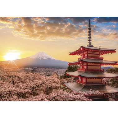春暁の富士山と桜（山梨）