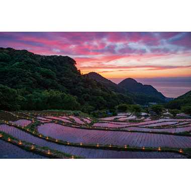 【メーカー取寄】10-1425 石部棚田のキャンドルナイト（静岡）