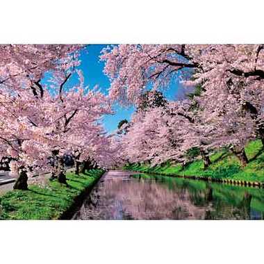 |メーカー品切れ中|【メーカー取寄】10-1455 桜雲の弘前公園（青森）