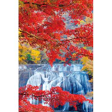 【メーカー取寄】10-1470 紅葉かかる袋田の滝（茨城）