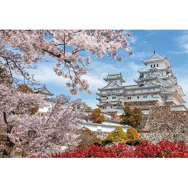 |メーカー品切れ中|【メーカー取寄】13-08 桜時の姫路城 兵庫