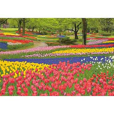 【メーカー取寄】01-2090 花咲く昭和記念公園（東京）