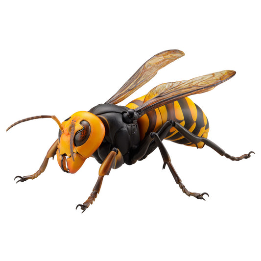 Vespa mandarinia - wholesale anime merchandise
