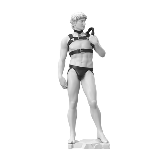 The Art of Desire: Dave - Fate Grand Order figures wholesale