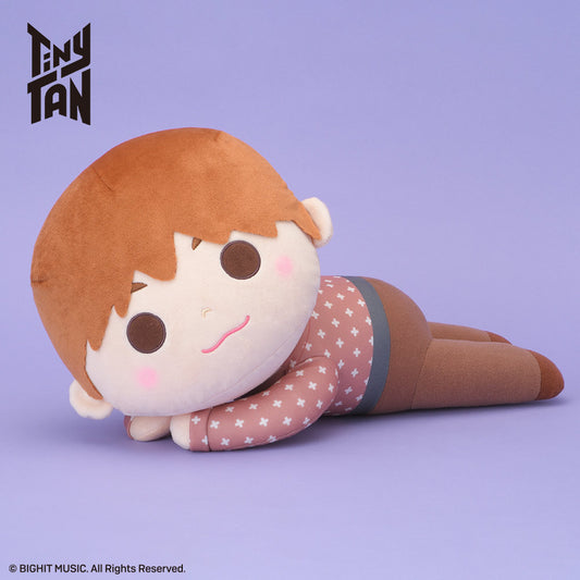 RT Y103476 TINYTAN DREAMY MEJ DOLL DY JIN - wholesale anime plush toys