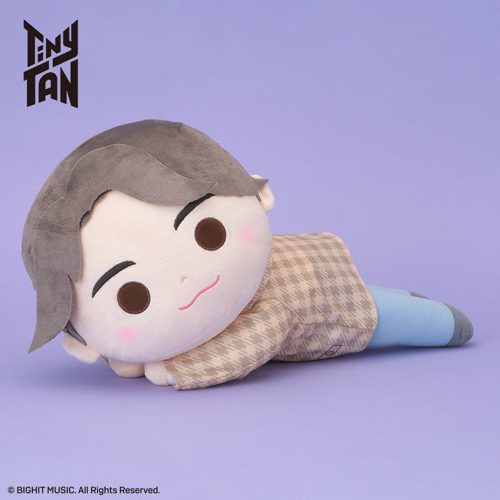 RT Y103481 TINYTAN DREAMY MEJ DOLL DY JUNG KOOK - wholesale anime plush toys